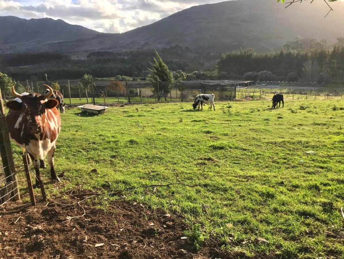 Kleine Vrede Farm Cottage ヘルマナス エクステリア 写真