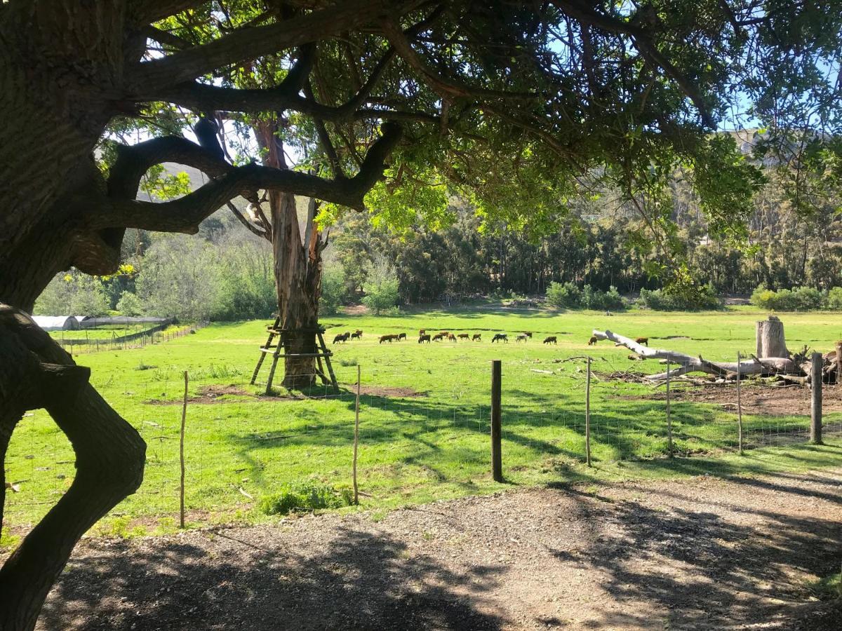 Kleine Vrede Farm Cottage ヘルマナス エクステリア 写真